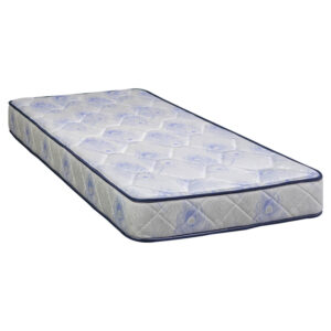 COLCHON FISHER ENSUEÑO 100