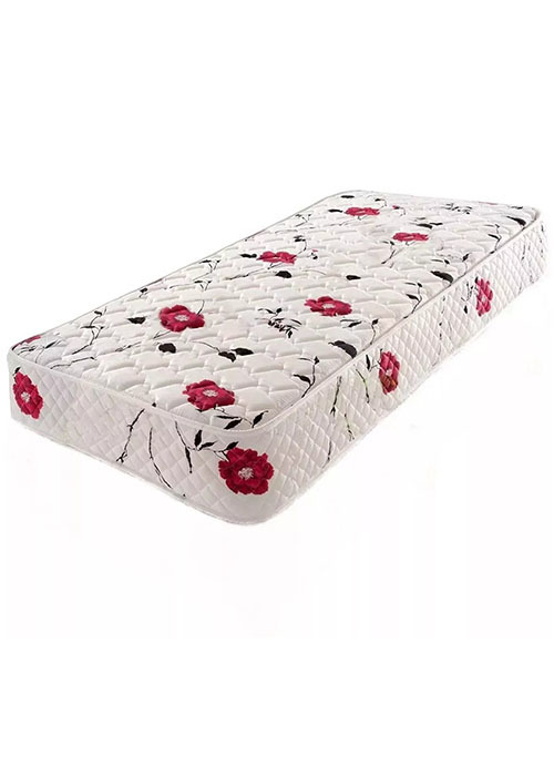 COLCHON CANNON SOÑAR 100X23CM