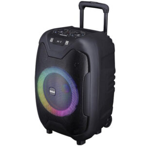 PARLANTE RCA PARTY10