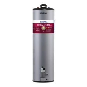 TERMO SEÑORIAL 120L GRIS FAMILY MG SUP. APOYAR