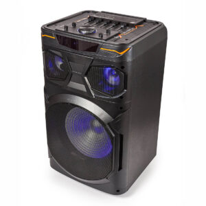 PARLANTE STROMBERG DJ6004
