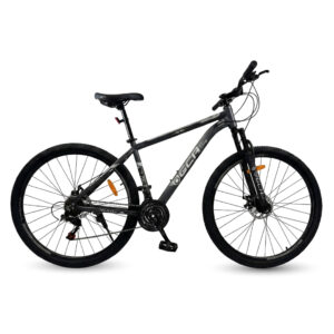 BICI R29 GCA ZEUS 4 V2.0 GRIS