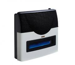 CALEFACTOR LONGVIE TB 5000 EBA5V TIZA C/VIZOR